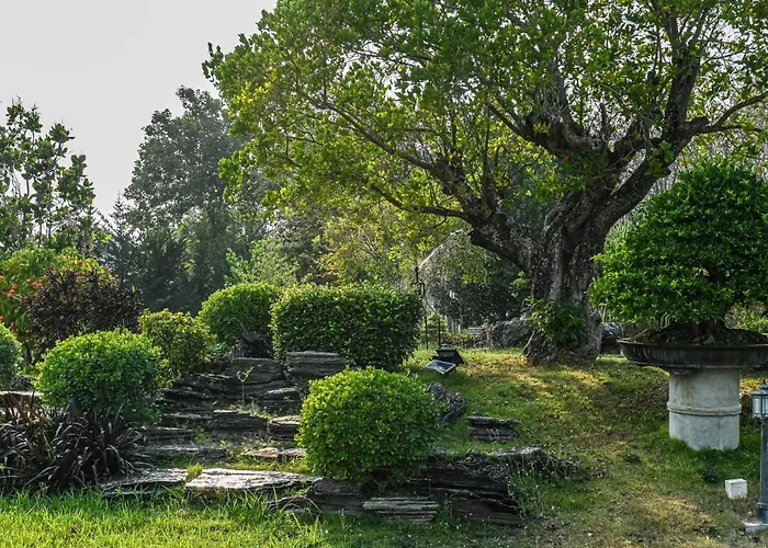 โรงแรม Suanphung Bonsai Village