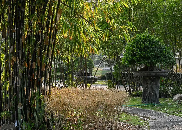 Suanphung Bonsai Village